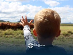 Young child reaching toward a herd of cows in a grassy field, seen from behind while looking out a window.