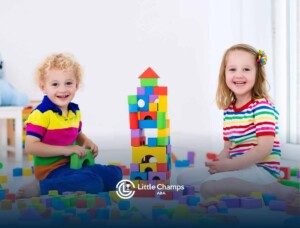 Stimulus Control Transfer In ABA