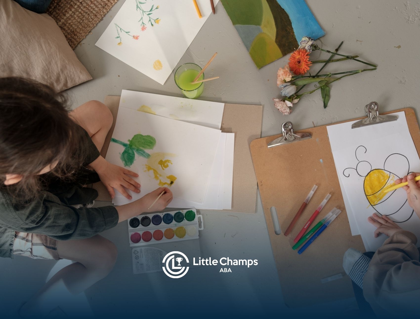 Is autism a mental illness or a developmental disorder?