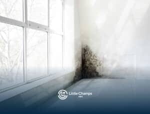 A bright room with a large window shows significant mold growth in the corner, indicating moisture issues.