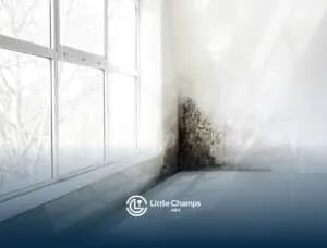 A bright room with a large window shows significant mold growth in the corner, indicating moisture issues.